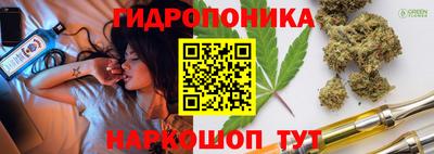 apvp Кинель
