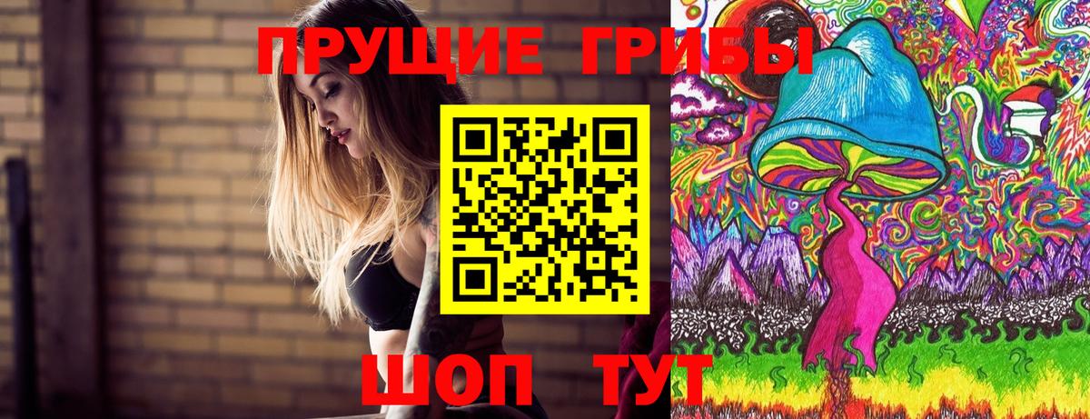 Киселёвск  Псилоцибиновые грибы прущие грибы  Вход с VPN 