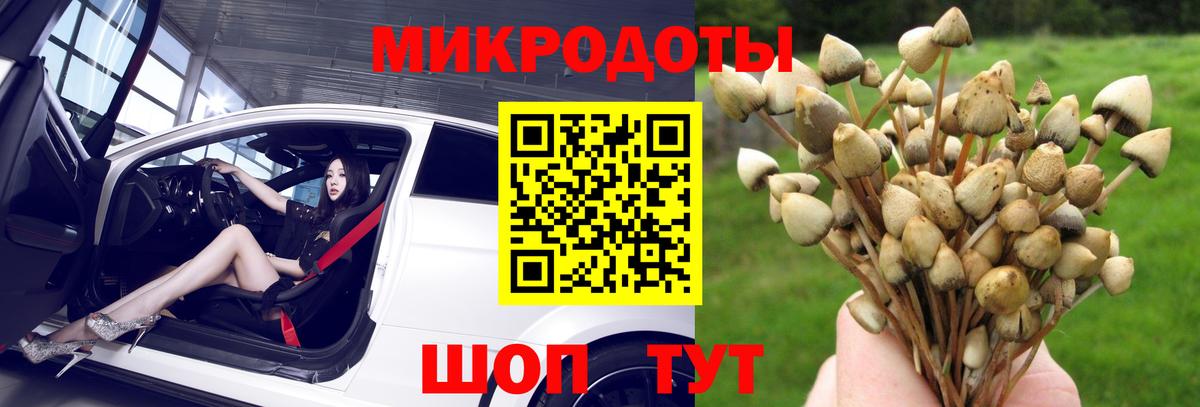 Киселёвск  Вход с VPN  ГАШИШ  Марихуана  ГАШ  Меф   Экстази  КОКАИН  Мефедрон  АМФЕТАМИН  