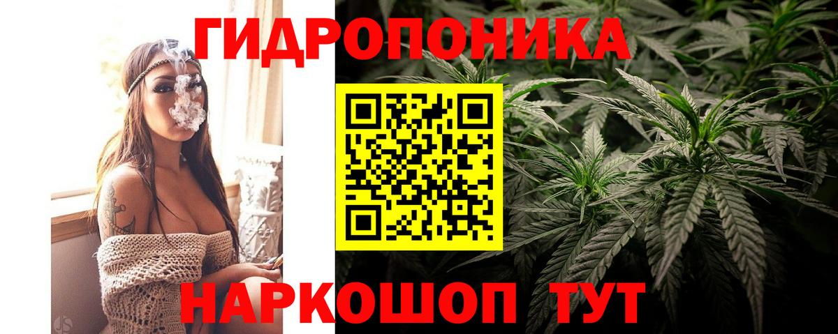 Шишки марихуана ГИДРОПОН  Бошки марихуана марихуана  Конопля LSD WEED  Киселёвск  Вход с VPN 